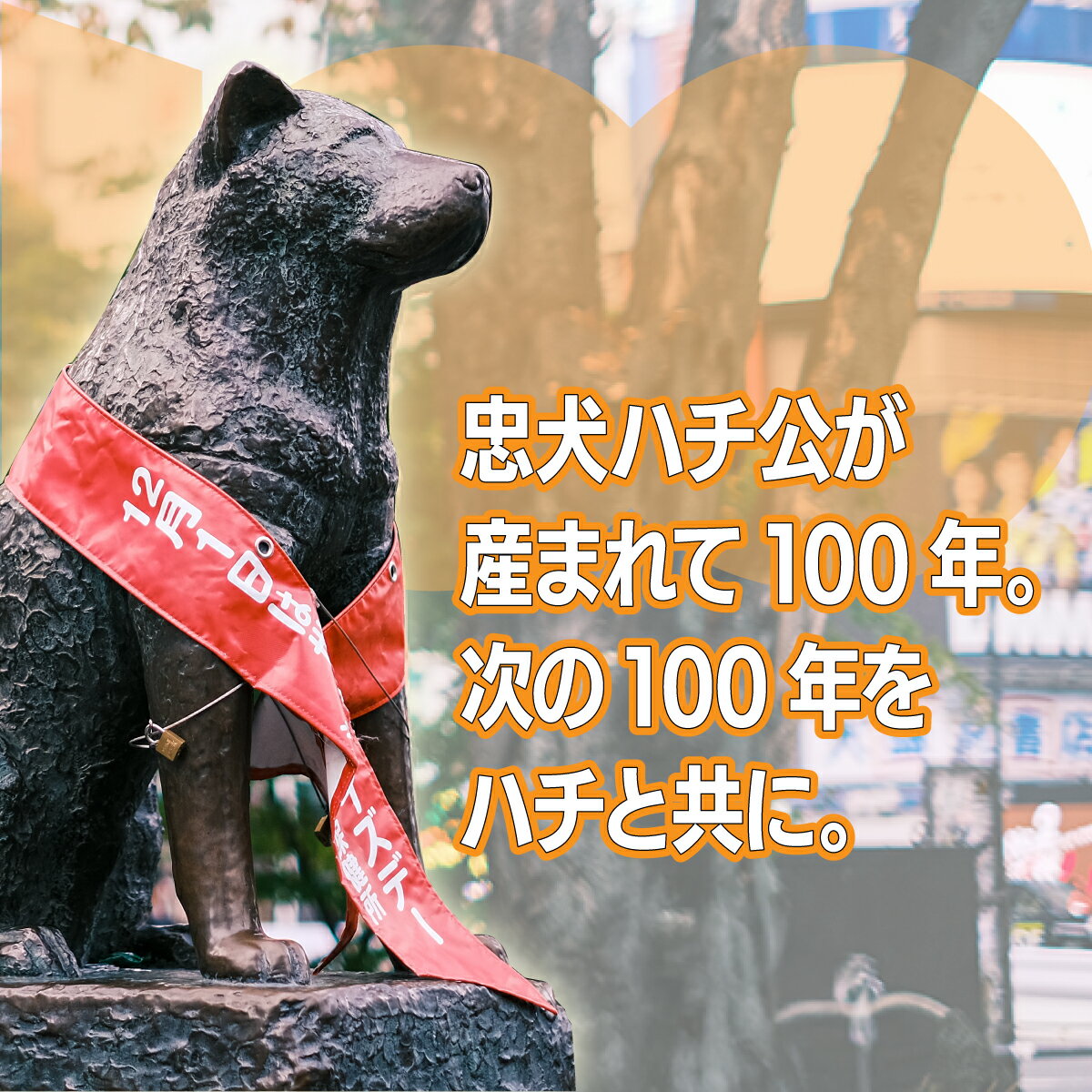 【ふるさと納税】【カラーとサイズが選べる！】HACHI100オリジナルロゴTシャツ（HACHI100オリジナルコットン巾着サービス) ホワイト・ネイビーから選択　忠犬ハチ公 はち 100周年 服 衣類 グッズ 秋田県 大館市【配送指定不可】 サムネイル2