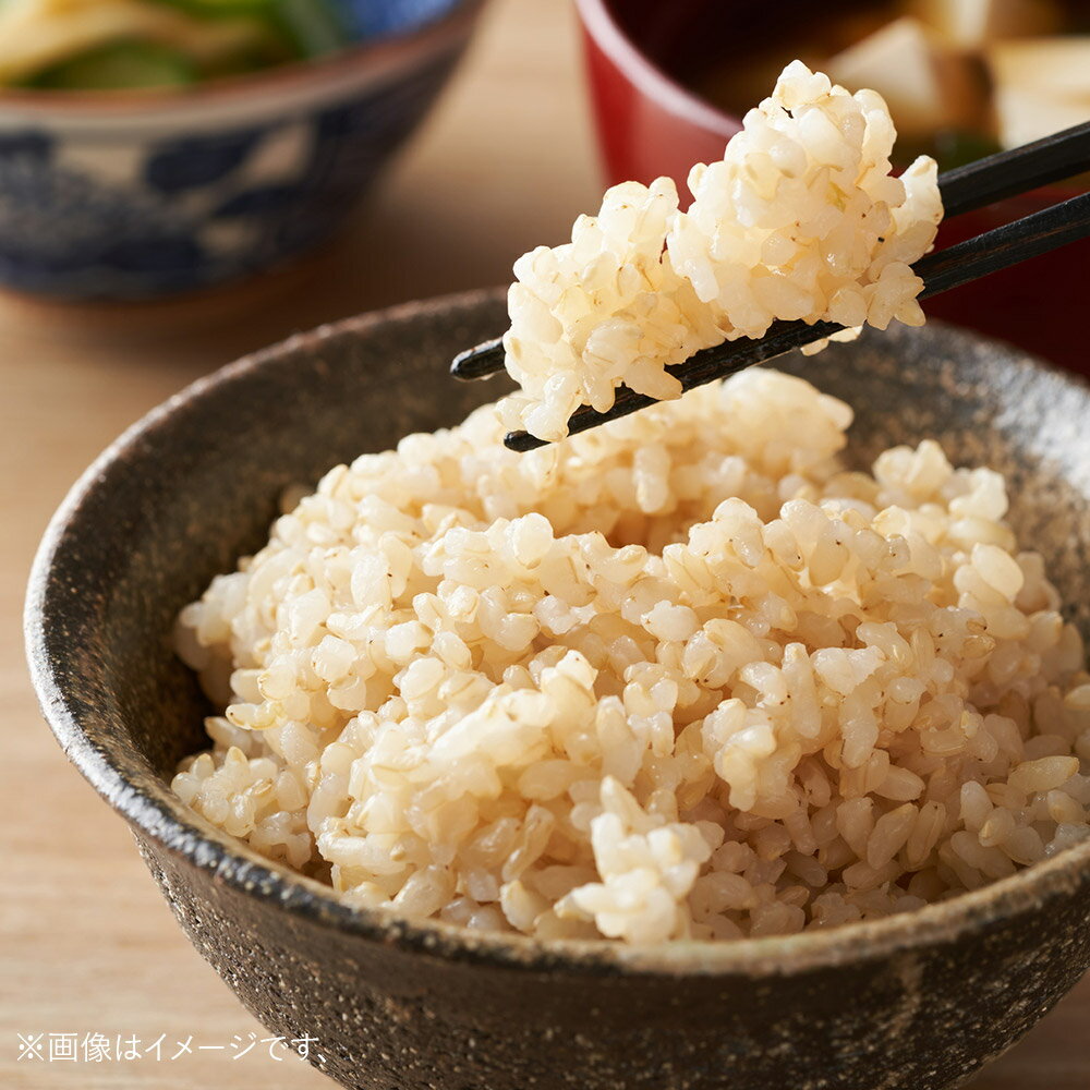 【ふるさと納税】＜令和7年産＞「秋田県男鹿市北浦産」あきたこまち（玄米）5kg - 画像3