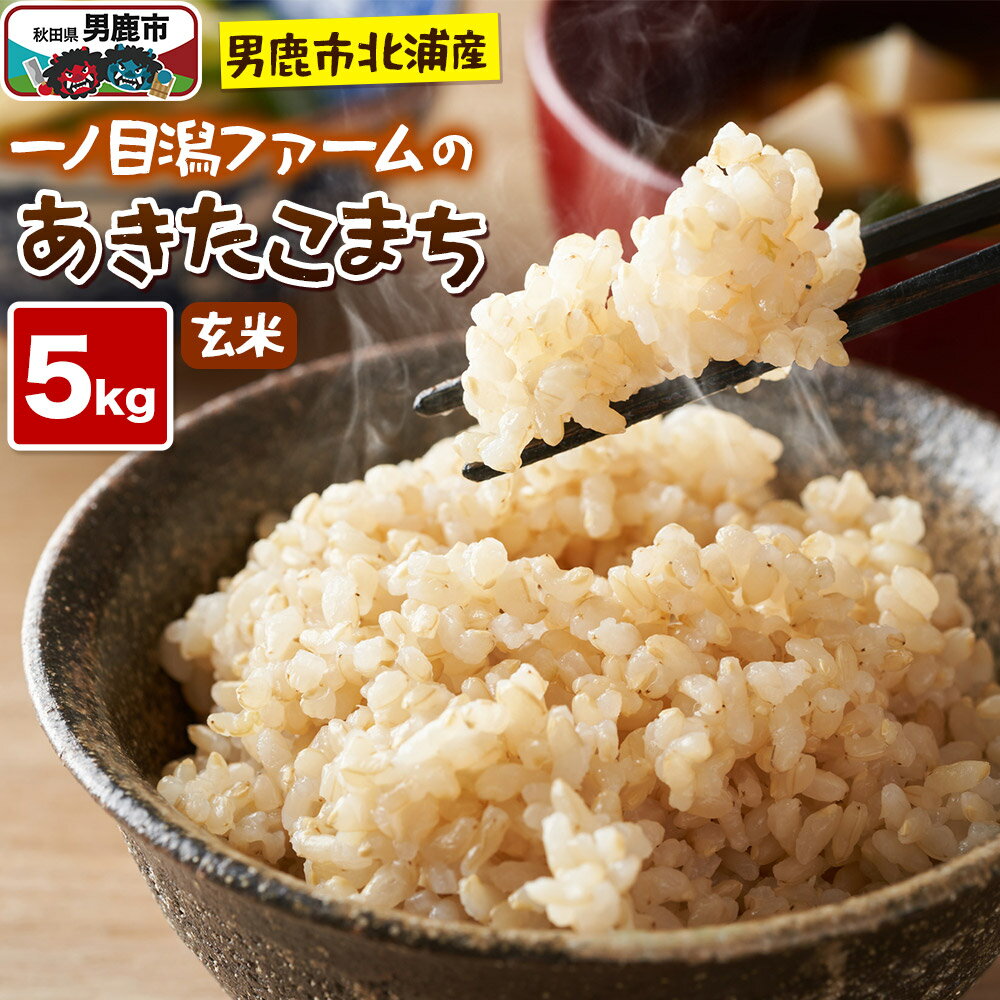 ＜令和7年産＞「秋田県男鹿市北浦産」あきたこまち（玄米）5kg