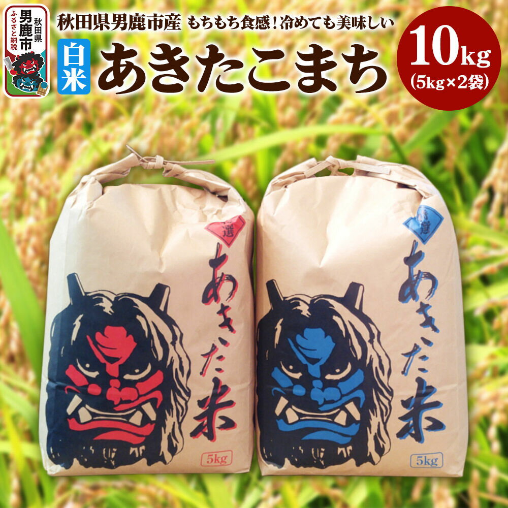 米 令和7年産 あきたこまち 精米 単一原料米 10kg（5kg×2袋）秋田県 男鹿市