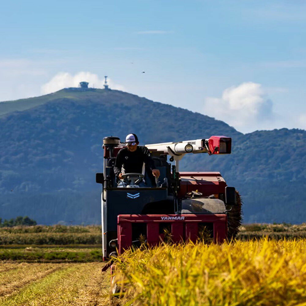 【ふるさと納税】米 令和7年産 あきたこまち 精米 単一原料米 10kg（5kg×2袋）秋田県 男鹿市 - 画像2