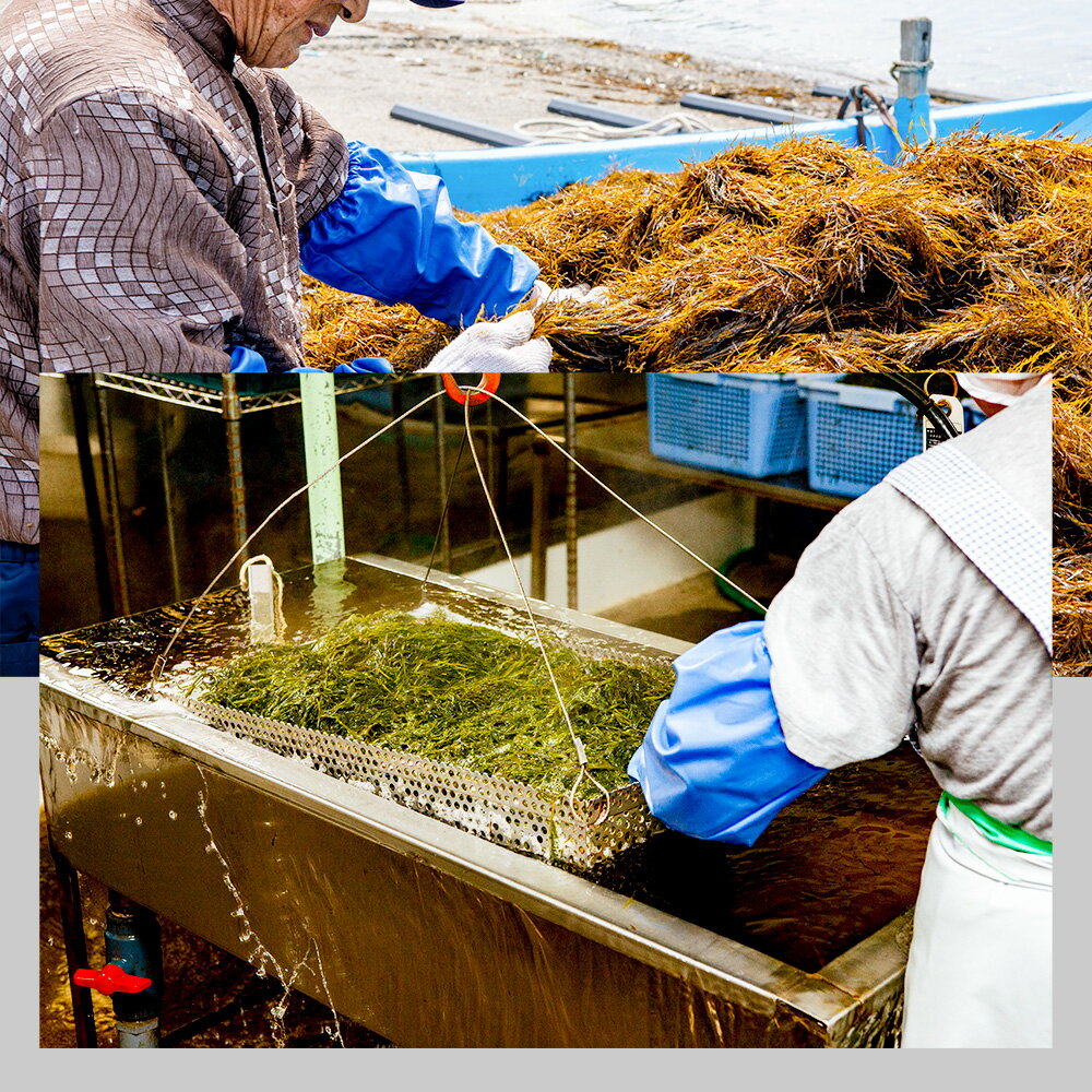 【ふるさと納税】ぎばさ(あかもく) 200g×10個セット サムネイル2