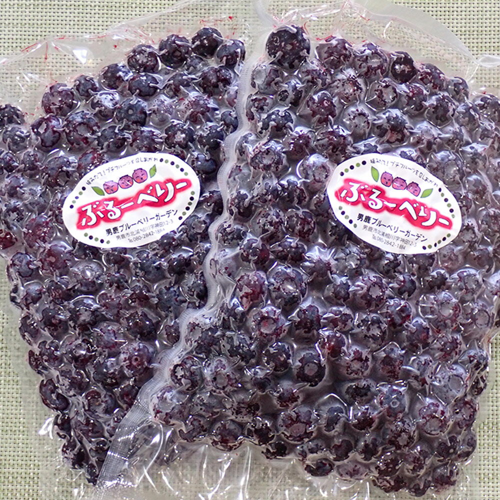 【ふるさと納税】【男鹿ぶるーべりーガーデン】 冷凍ブルーベリー 500g×2パック（合計1kg）秋田県 男鹿市 サムネイル2