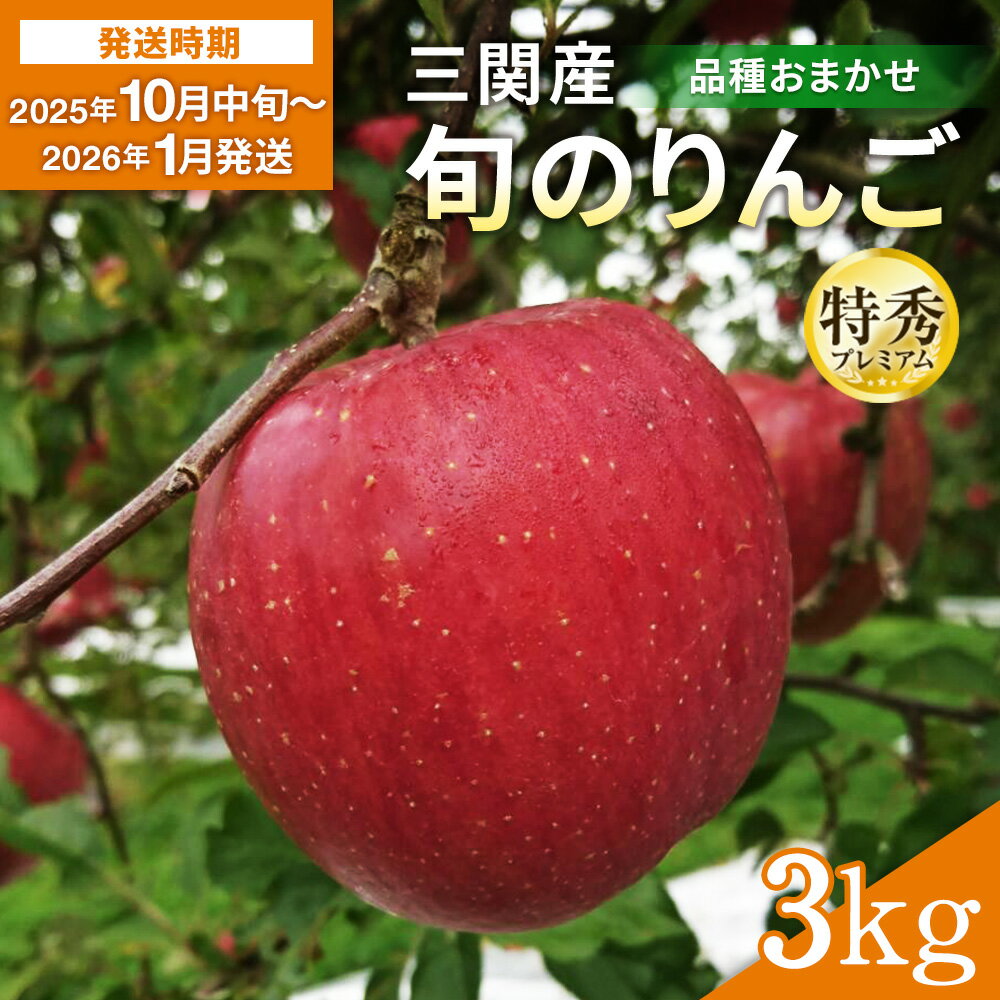 三関産 旬のりんご プレミアム 特秀 3kg （8玉～12玉） 旬 りんご 品種お任せ 果物 フルーツ 秋田県 三関 【三関果樹研究会】[B15109]