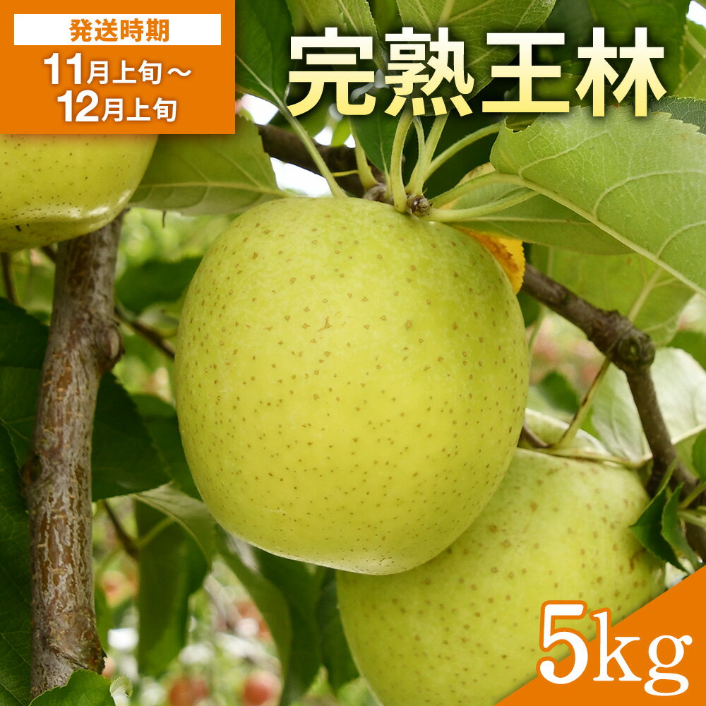 完熟王林 5kg 林檎 果物 フルーツ【田村果樹園】[B2-10801]