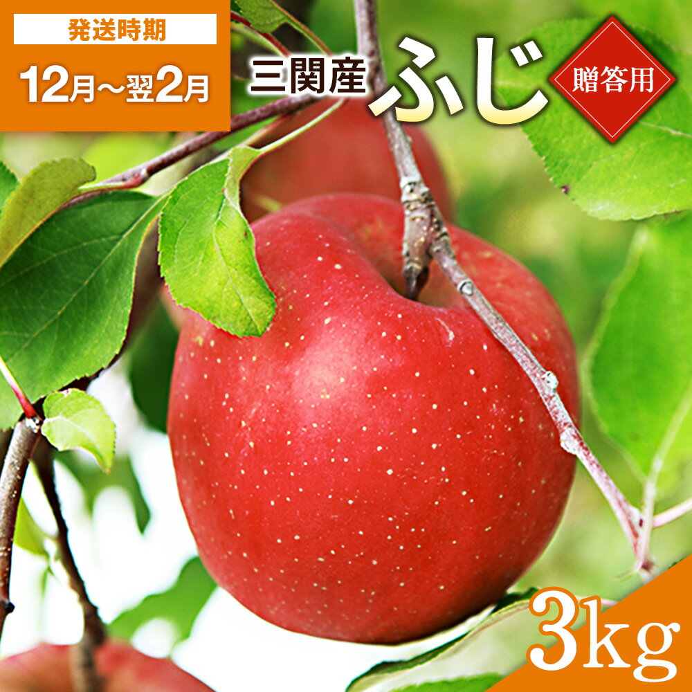 りんご 贈答用 ふじ（サンふじ） 3kg【田村果樹園】[B2-10802]