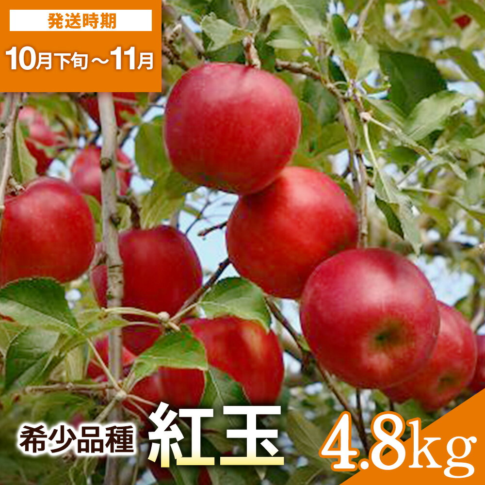 希少価値高い！紅玉 4.8kg【田村果樹園】[B6-10803]
