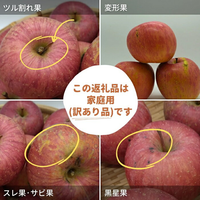 【ふるさと納税】湯沢市三関産りんご（ふじ）3kg 5kg 家庭用 訳あり ふるさと納税 旬 果物 フルーツ ジューシー 甘い 秋田県【藤山果樹園】[K2801] サムネイル2