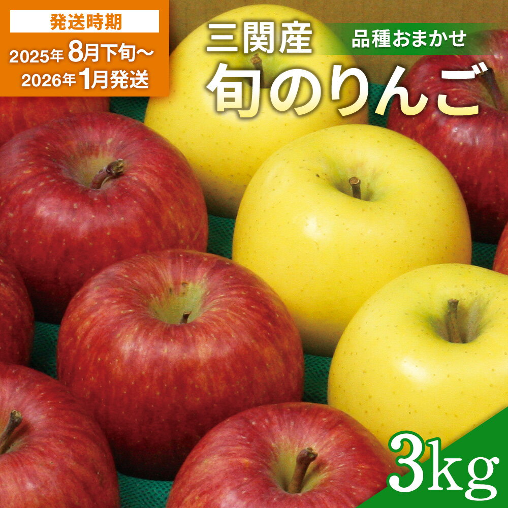 三関旬のりんご 秀品 3kg （8玉〜12玉） 満杯詰め 三関産 旬 りんご 品種お任せ 果物 フルーツ 秋田県 三関 【三関果樹研究会】[L15101]