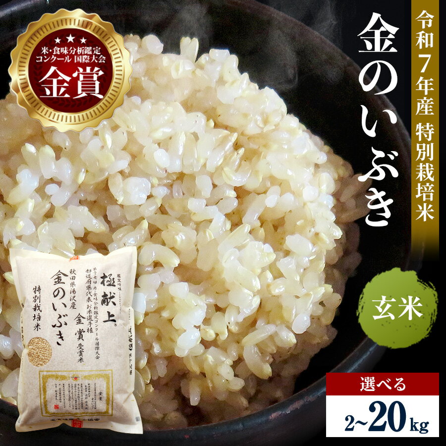 令和7年産米 冷めても美味しい玄米 特別栽培米 金のいぶき 選べる容量 2kg～20kg 玄米 米 農家直送 受賞歴多数 ＼自然由来の漢方栽培／ ふるさと 人気 ランキング【渡部 浩見】[B9-2101]
