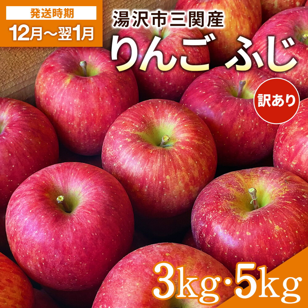 湯沢市三関産りんご（ふじ）3kg 5kg 家庭用 訳あり ふるさと納税 旬 果物 フルーツ ジューシー 甘い 秋田県【藤山果樹園】[K2801]