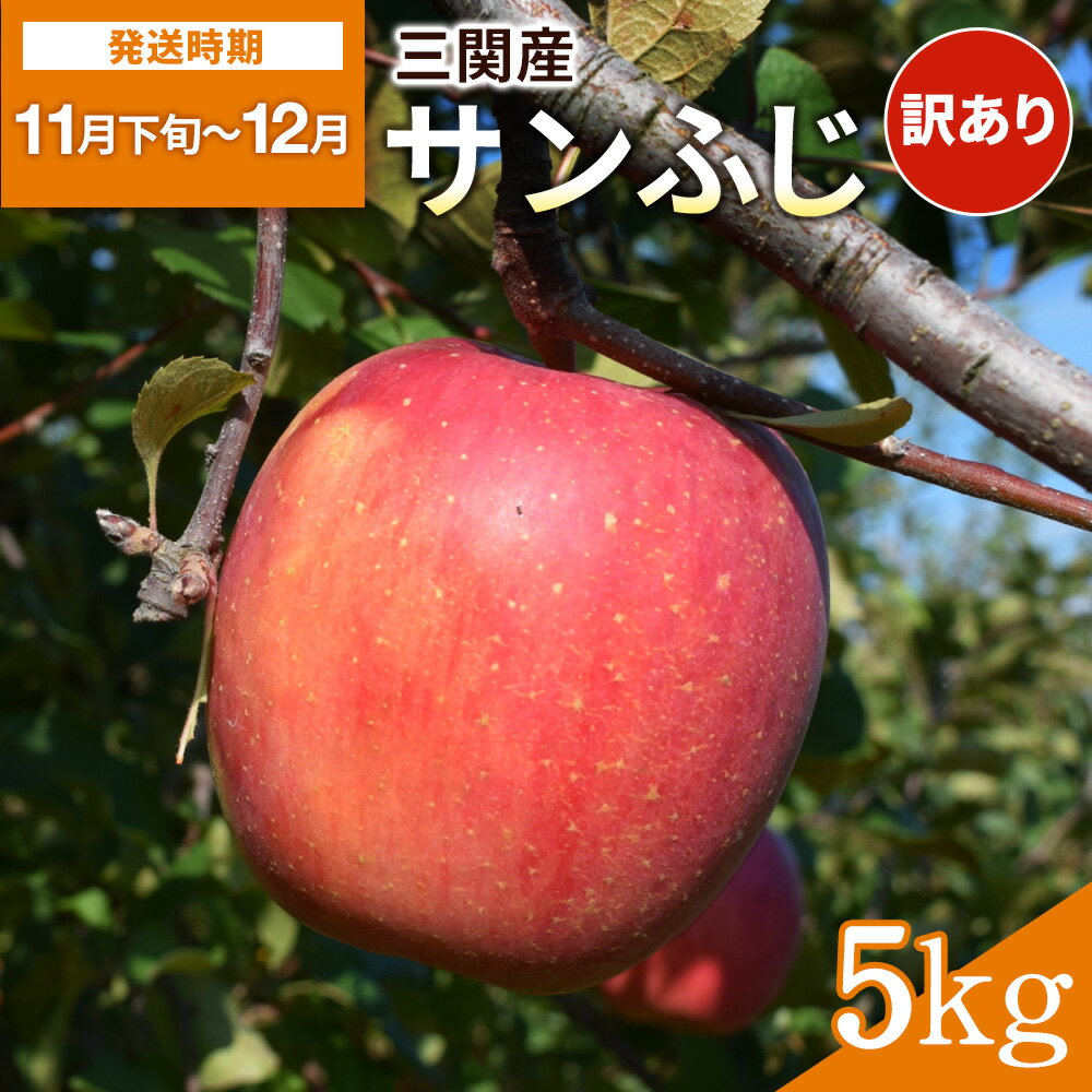 三関産 りんご サンふじ 5kg 訳ありふじりんご ふるさと納税 旬 果物 フルーツ ジューシー 甘い 秋田県 湯沢市三関産【藤利果樹園】[B14604]
