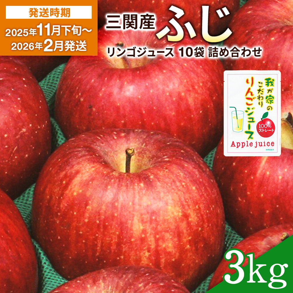 【2025年11月下旬〜2026年2月発送】三関産 りんご 3kg (サンふじ)＋ りんごジュース 10袋 詰め合わせ 三関 濃厚 で ジューシー な ふじりんご と 100% 無添加 ジュース セット ふるさと納税 りんご 旬 果物 フルーツ 秋田県【三関ゆめ蔵ぶ直売所】[B3-2607]