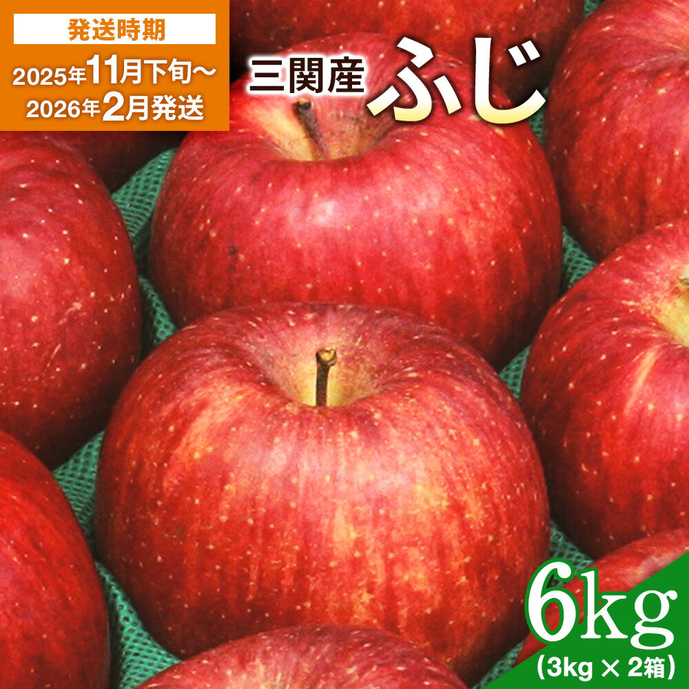 【2025年11月下旬〜2026年2月発送】 三関産 りんご ふじ 6kg （3kg×2箱）サンふじ 濃厚 で ジューシー ふるさと納税 りんご 旬 ふじりんご 果物 フルーツ 秋田県 三関【三関ゆめ蔵ぶ直売所】[B4-2601]
