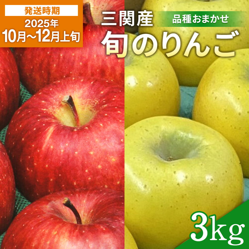 【2025年10月～12月上旬発送】濃厚でジューシー！ 三関産 旬 りんご 3kg 中生種 品種お任せ 早生ふじ シナノスイート 王林 等の中から 美味しい 林檎 をお届け 果物 フルーツ 秋田県 三関 【三関ゆめ蔵ぶ直売所】[L2603]