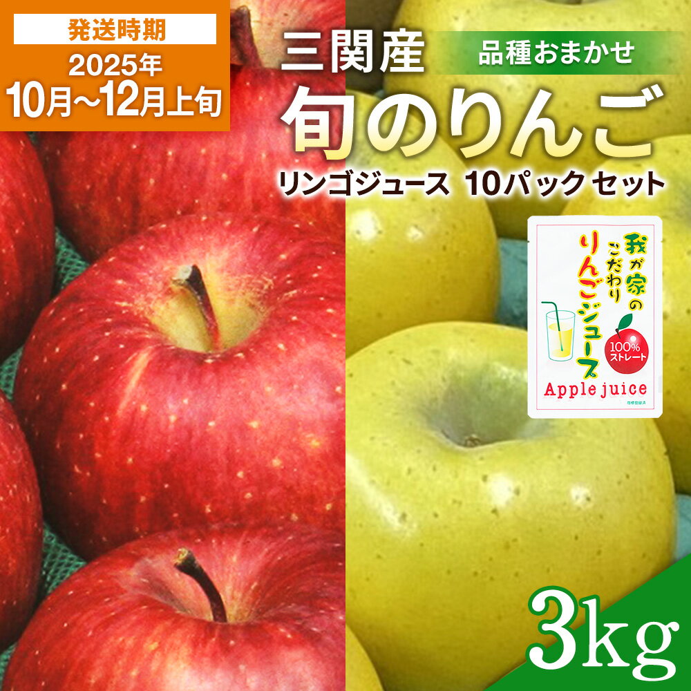 【2025年10月～12月上旬発送】三関産 旬 りんご 3kg + 果汁100 ％ りんごジュース 10個 セット 中生種 品種お任せ 早生ふじ シナノスイート 王林 等の中から 美味しい 林檎 をお届け 果物 ジュース 三関 【三関ゆめ蔵ぶ直売所】[B3-2606]