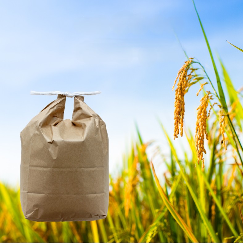 令和7年産 あきたこまち 白米 約27kg 秋田県産 湯沢市産 新米 お米 白米 国産 ご飯【BARUバイオジャパン吉村】[Q6-9901]