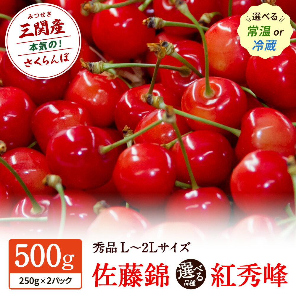 職人が本気で作ったこだわりのさくらんぼ！秋田県三関（みつせき）産＼品種・配送方法が選べる／【令和8年産先行予約】 佐藤錦 / 紅秀峰 500g 秀品 L～2L 常温 / 冷蔵 朝採れ 産地直送 【6月中旬から発送開始予定】 ふるさと納税 さくらんぼ 果物 [B3-3201]