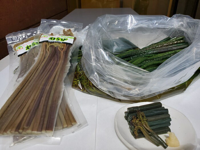 あくぬきわらび・水煮セット【(株)小町の国手づくり工房】[B5-3901]