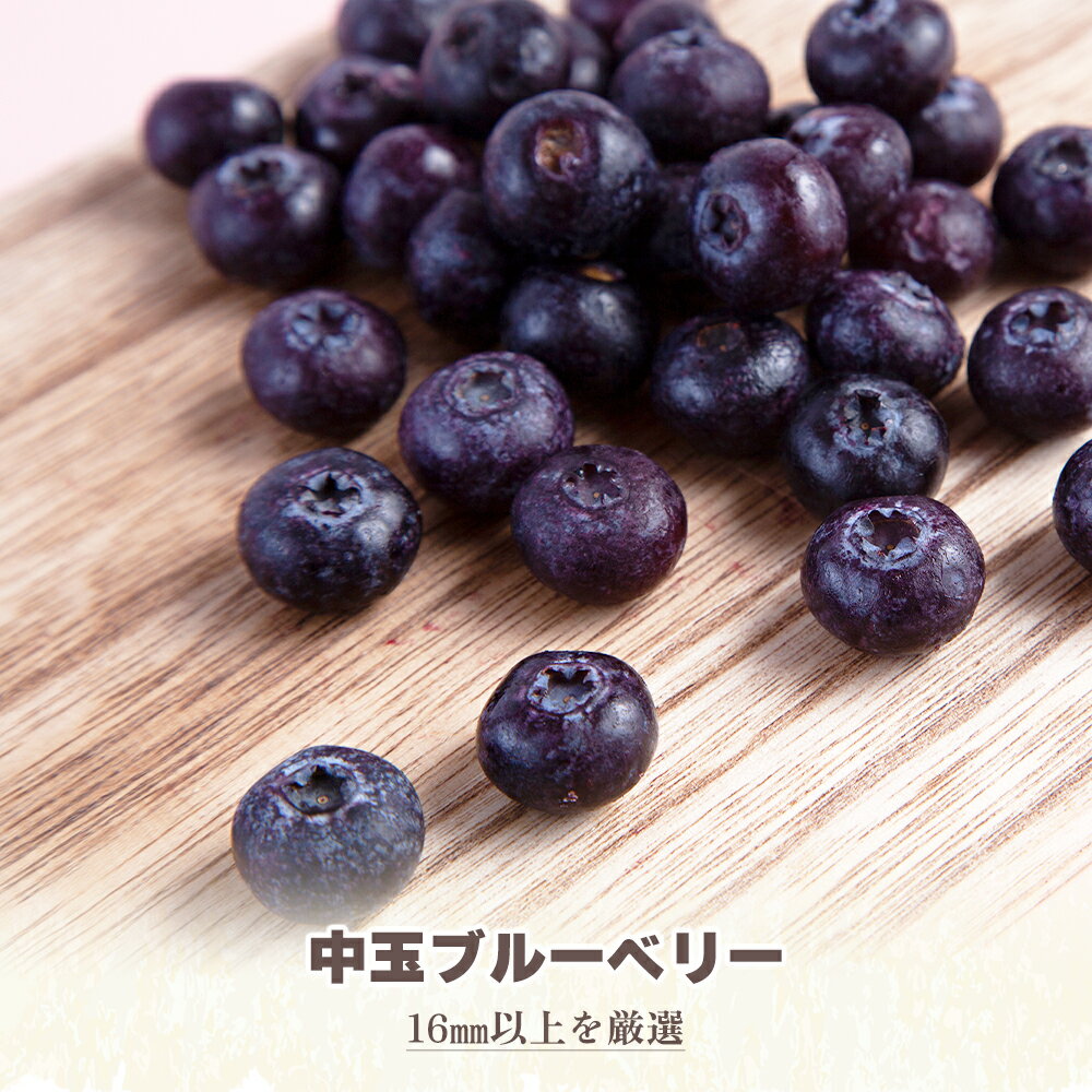 【ふるさと納税】ブルーベリー 特選 中玉 1kg 冷凍 単品 選べる 発送時期 選択 無農薬 新鮮 旬 国産 冷凍 ジュース スムージー レシピ 効能 栄養 ダイエット お取り寄せ 母の日 父の日 グルメ ギフト 故郷 秋田 あきた 鹿角市 鹿角 送料無料 【かづの精果園】 サムネイル2