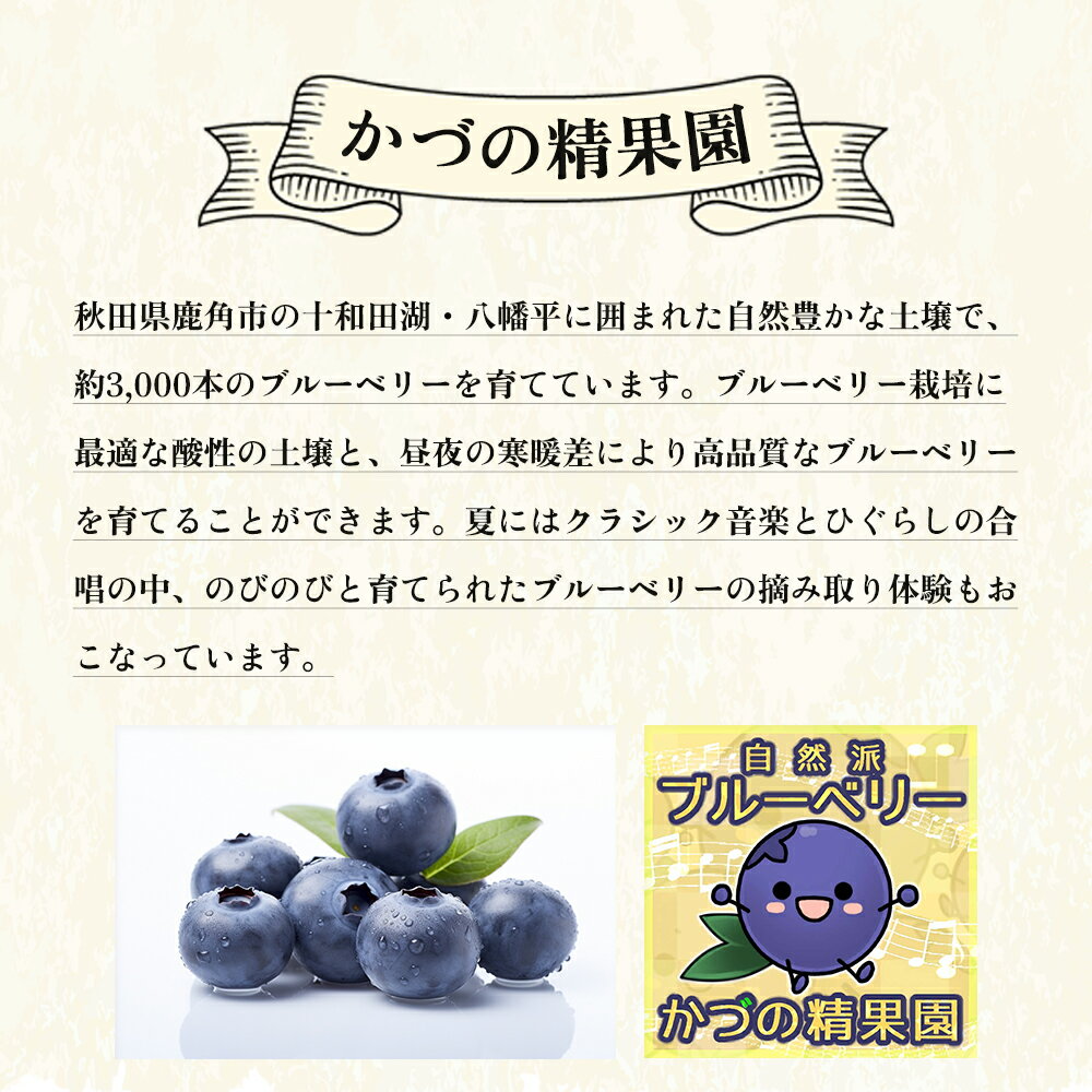 【ふるさと納税】ブルーベリー 特選 中玉 1kg 冷凍 単品 選べる 発送時期 選択 無農薬 新鮮 旬 国産 冷凍 ジュース スムージー レシピ 効能 栄養 ダイエット お取り寄せ 母の日 父の日 グルメ ギフト 故郷 秋田 あきた 鹿角市 鹿角 送料無料 【かづの精果園】 サムネイル3
