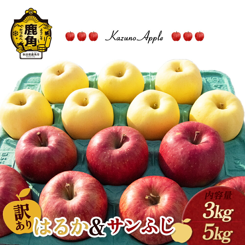 《 先行予約 》 訳あり りんご 鹿角りんご 「 はるか ＆ サンふじ 」選べる 3kg ／ 5kg 家庭用 林檎 みずみずしい 果汁 リンゴ 完熟 旬 県産りんご お中元 お歳暮 贈り物 お見舞い グルメ ギフト 故郷 秋田 あきた 鹿角市 鹿角 送料無料 【佐藤秀果園】