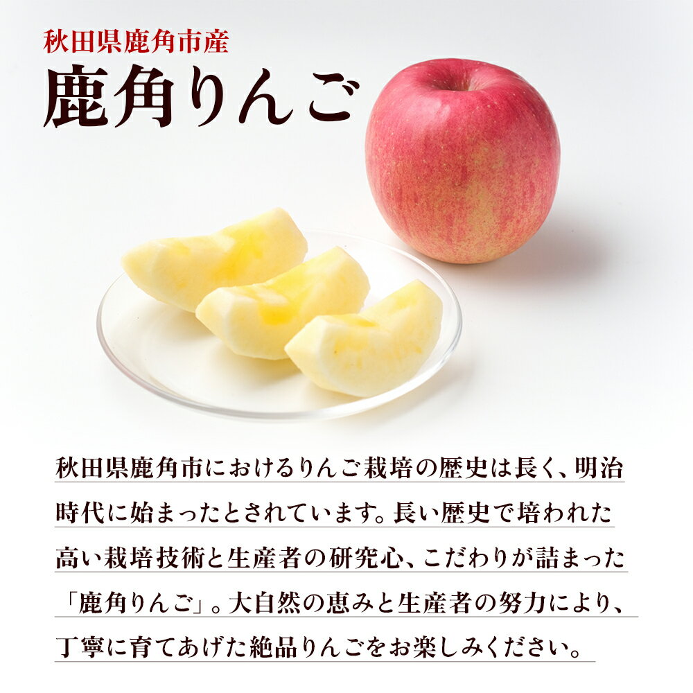 【ふるさと納税】《 先行予約 》 りんご 鹿角りんご「 サンふじ 」 選べる 3kg ／ 5kg リンゴ 林檎 贈答用 みずみずしい 果汁 リンゴ 完熟 蜜入り 旬 県産りんご お中元 お歳暮 贈り物 お見舞い グルメ ギフト 故郷 秋田県鹿角市産 送料無料 【佐藤秀果園】 サムネイル3