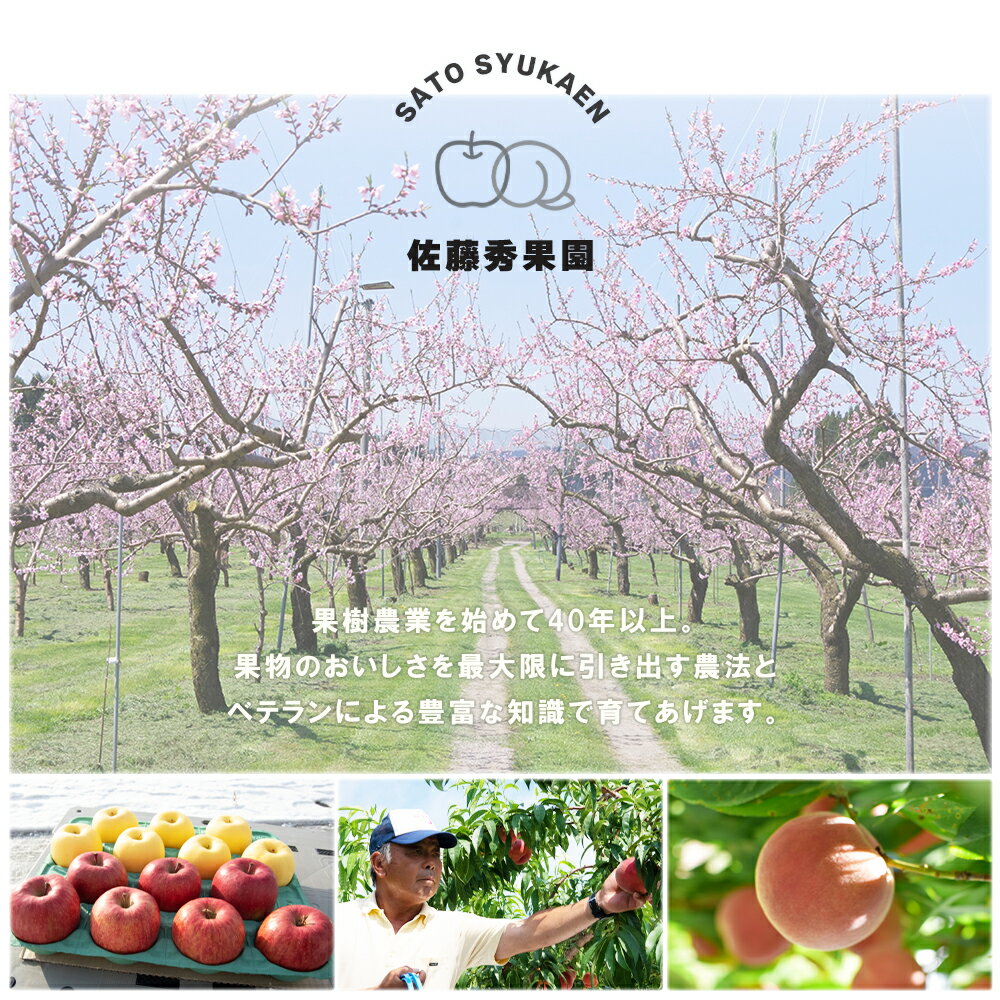 【ふるさと納税】《 先行予約 》 りんご 鹿角りんご「 サンふじ 」 選べる 3kg ／ 5kg リンゴ 林檎 贈答用 みずみずしい 果汁 リンゴ 完熟 蜜入り 旬 県産りんご お中元 お歳暮 贈り物 お見舞い グルメ ギフト 故郷 秋田県鹿角市産 送料無料 【佐藤秀果園】 サムネイル2