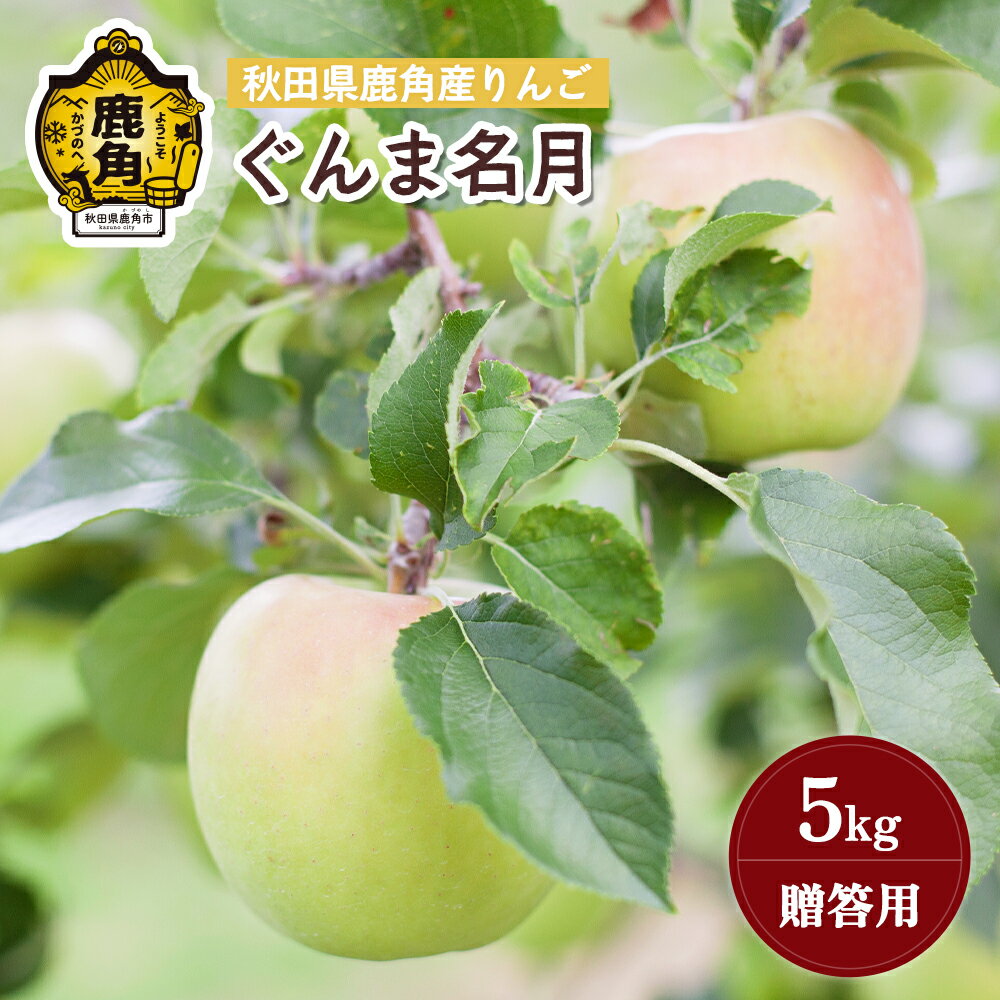 《 先行予約 》 りんご 贈答用 ぐんま名月 5kg ( 20～23玉 ) 秋田県 鹿角産 りんご 食感 果汁 リンゴ 完熟 旬 県産 りんご 林檎 お中元 お歳暮 贈り物 グルメ ギフト 故郷 秋田 あきた 鹿角市 鹿角 蜜 送料無料 【山麓園】