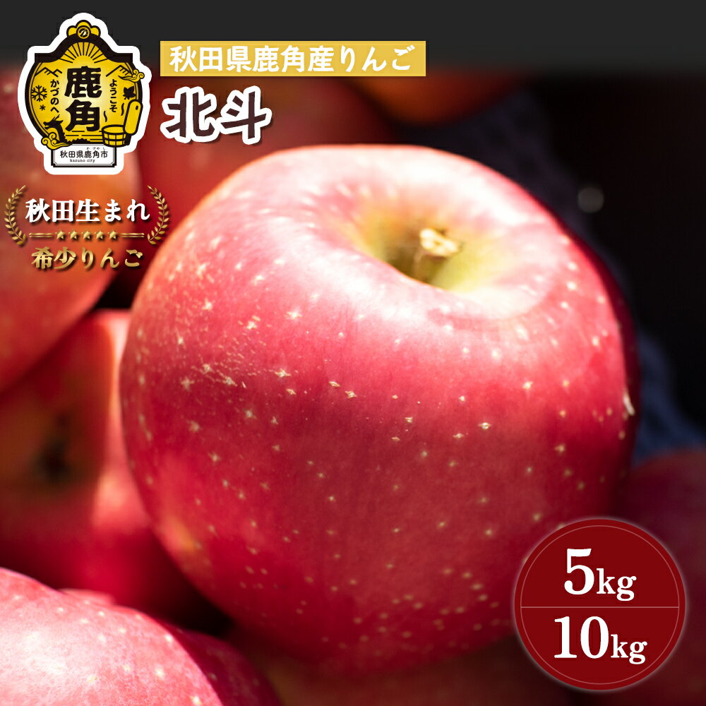 《 先行予約 》 りんご 贈答用 北斗 5kg / 10kg 秋田県 鹿角産 食感 果汁 リンゴ 完熟 旬 県産 りんご お中元 お歳暮 贈り物 グルメ ギフト 故郷 秋田 あきた 鹿角市 鹿角 送料無料 【山麓園】