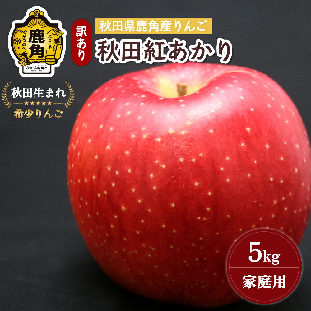 《 先行予約 》 りんご 訳あり 秋田紅あかり 5kg ( 13～18玉入 ) 鹿角りんご 家庭用 食感 果汁 リンゴ 完熟 旬 県産 りんご お中元 お歳暮 贈り物 グルメ ギフト 故郷 秋田 あきた 鹿角市 鹿角 送料無料 【山麓園】