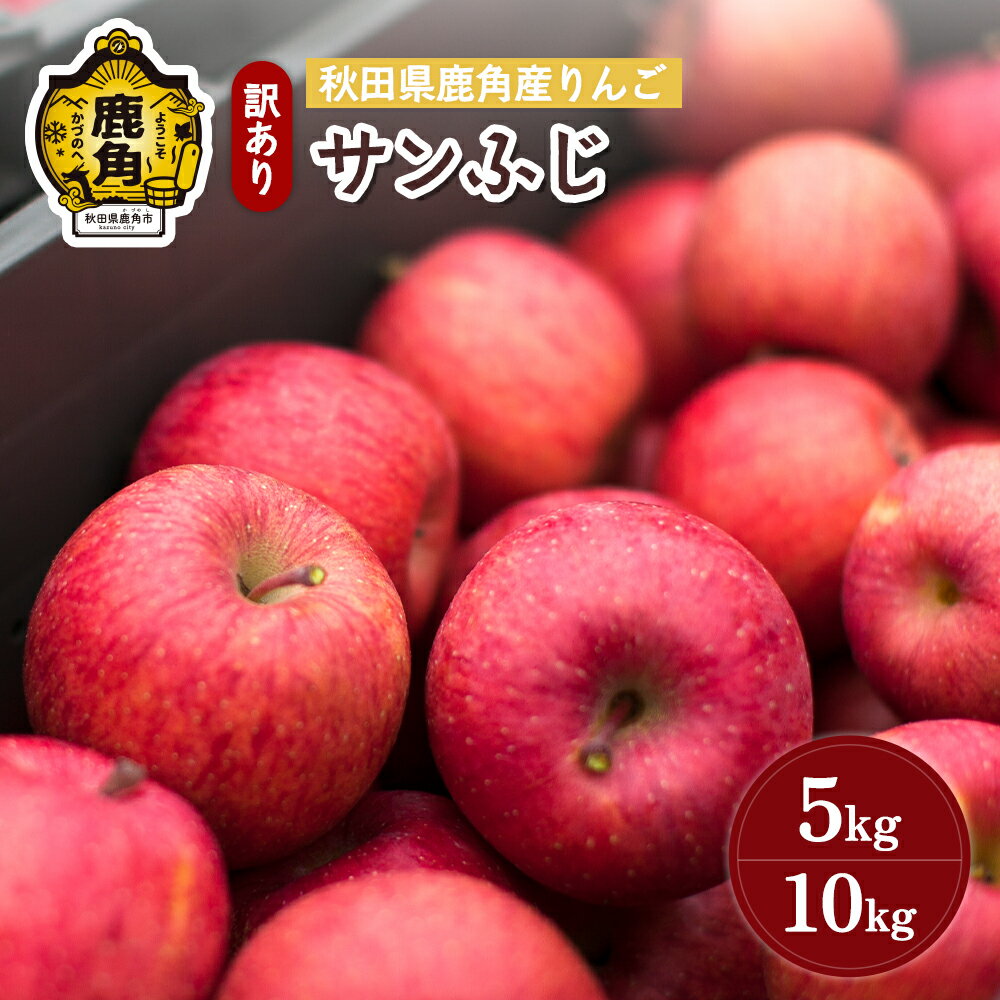 《 先行予約 》 りんご 訳あり サンふじ 5kg / 10kg 鹿角りんご 家庭用 食感 果汁 リンゴ 完熟 旬 県産 りんご お中元 お歳暮 贈り物 グルメ ギフト 故郷 秋田 あきた 鹿角市 鹿角 送料無料 【山麓園】