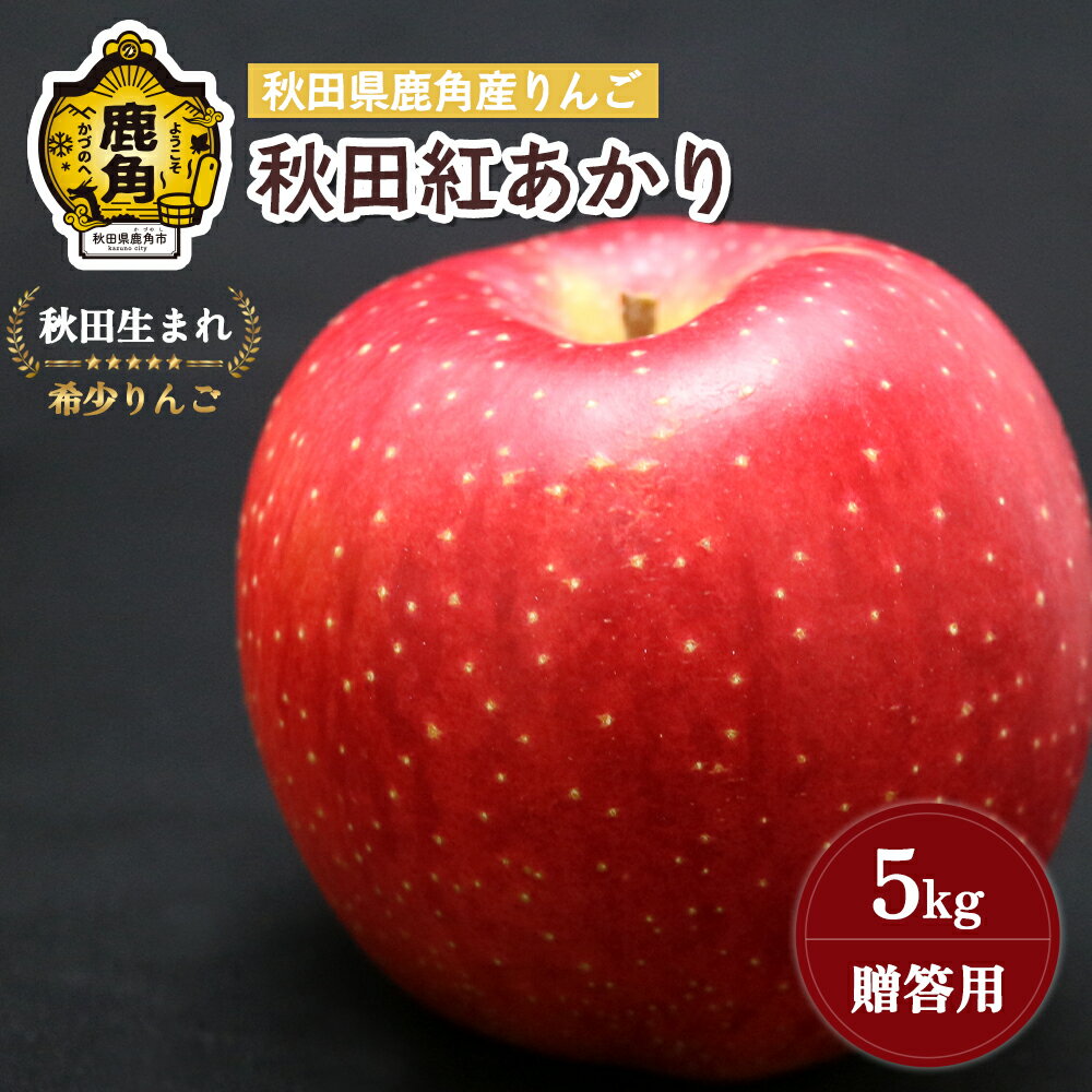 《 先行予約 》 りんご 贈答用 秋田紅あかり 5kg ( 13～18玉入 ) 鹿角りんご 食感 果汁 リンゴ 完熟 旬 県産 りんご お中元 お歳暮 贈り物 グルメ ギフト 故郷 秋田 あきた 鹿角市 鹿角 送料無料 【山麓園】