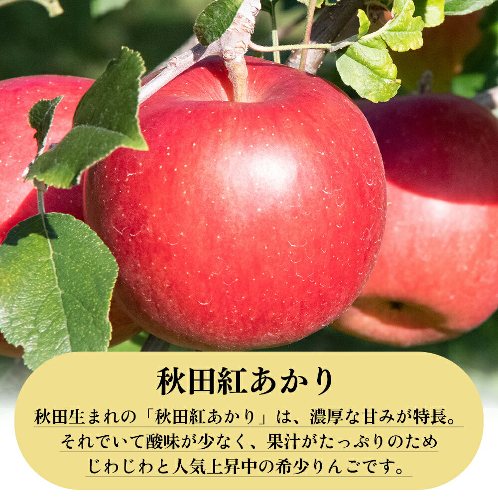 【ふるさと納税】《 先行予約 》 りんご 訳あり 秋田紅あかり 5kg ( 13～18玉入 ) 鹿角りんご 家庭用 食感 果汁 リンゴ 完熟 旬 県産 りんご お中元 お歳暮 贈り物 グルメ ギフト 故郷 秋田 あきた 鹿角市 鹿角 送料無料 【山麓園】 サムネイル3
