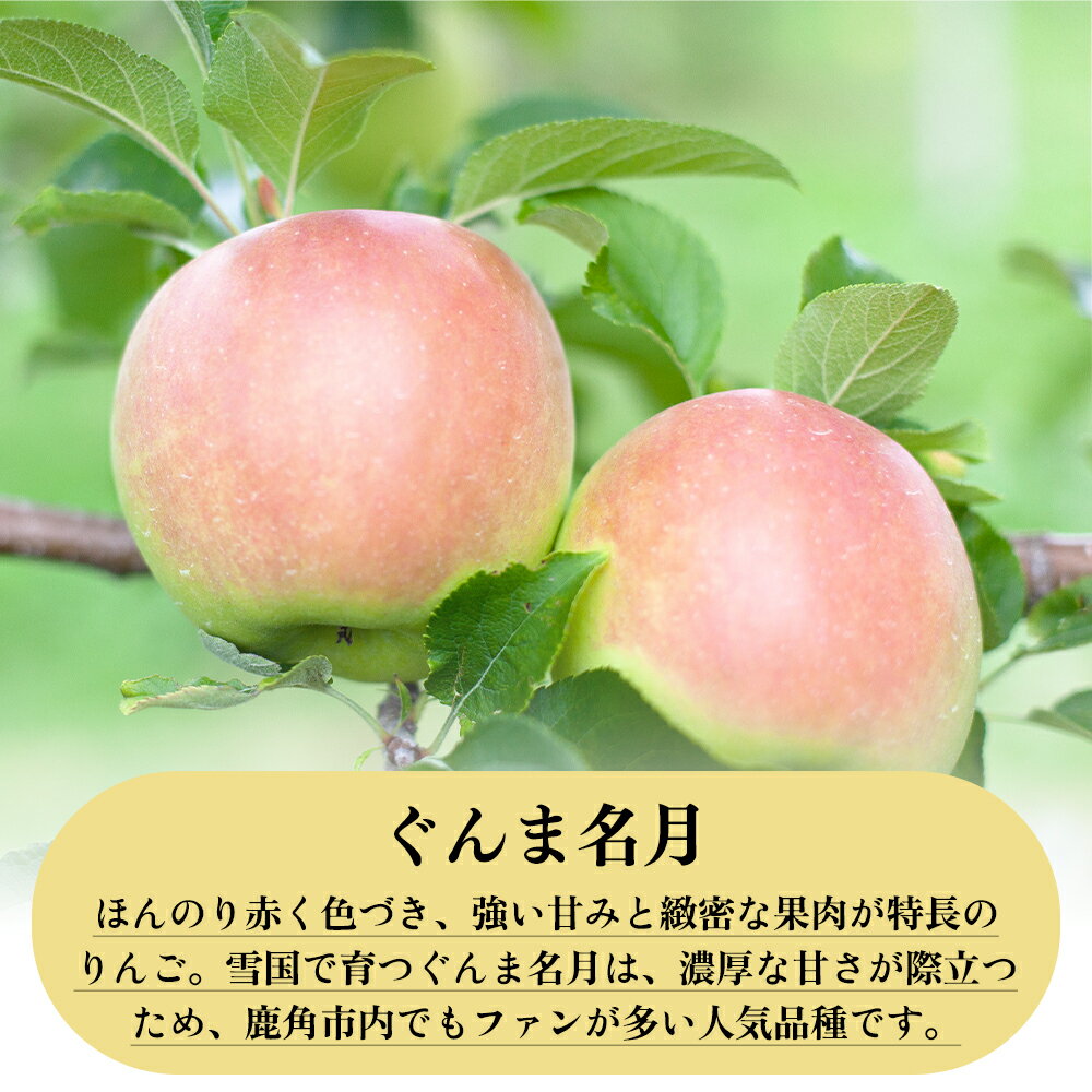 【ふるさと納税】《 先行予約 》 りんご 贈答用 ぐんま名月 5kg ( 20～23玉 ) 秋田県 鹿角産 りんご 食感 果汁 リンゴ 完熟 旬 県産 りんご 林檎 お中元 お歳暮 贈り物 グルメ ギフト 故郷 秋田 あきた 鹿角市 鹿角 蜜 送料無料 【山麓園】 サムネイル3