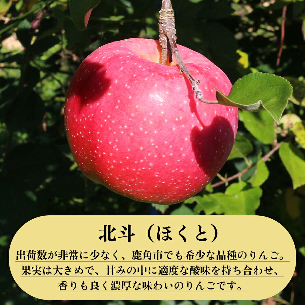 【ふるさと納税】《 先行予約 》 りんご 贈答用 北斗 5kg / 10kg 秋田県 鹿角産 食感 果汁 リンゴ 完熟 旬 県産 りんご お中元 お歳暮 贈り物 グルメ ギフト 故郷 秋田 あきた 鹿角市 鹿角 送料無料 【山麓園】 サムネイル3