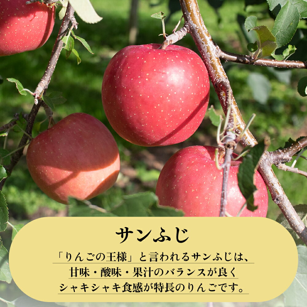 【ふるさと納税】《 先行予約 》 りんご 訳あり サンふじ 5kg / 10kg 鹿角りんご 家庭用 食感 果汁 リンゴ 完熟 旬 県産 りんご お中元 お歳暮 贈り物 グルメ ギフト 故郷 秋田 あきた 鹿角市 鹿角 送料無料 【山麓園】 サムネイル3