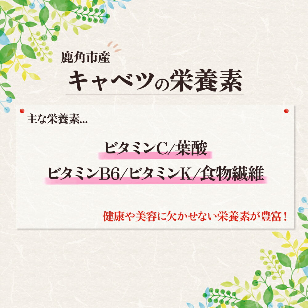 【ふるさと納税】キャベツ 約 3.6kg 新鮮 旬 産地直送 安全 甘い 採れたて 国産野菜 お取り寄せ グルメ ギフト お中元 お歳暮 秋田 あきた 鹿角市 鹿角 秋田県 鹿角産 送料無料 【恋する鹿角カンパニー】 - 画像3