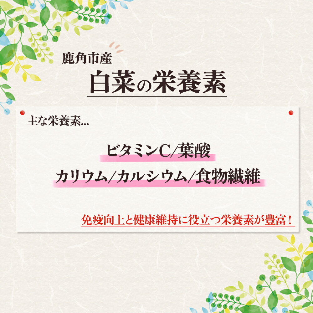 【ふるさと納税】 白菜 約 3.6kg 新鮮 旬 お鍋 シチュー 安全 甘い 採れたて 国産野菜 お取り寄せ グルメ ギフト お中元 お歳暮 秋田 あきた 鹿角市 鹿角 秋田県 鹿角産 送料無料 【恋する鹿角カンパニー】 - 画像3