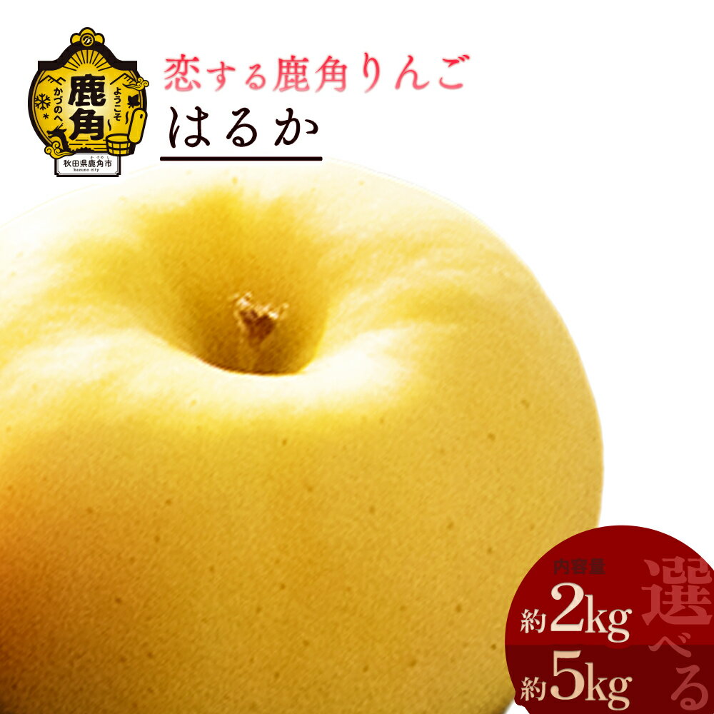 《 先行予約 》 秋田県 鹿角産 りんご はるか 2kg 5kg かづのりんご 食感 果汁 さっぱり リンゴ 完熟 旬 県産りんご お中元 お歳暮 贈り物 グルメ 秋田 あきた 鹿角市 鹿角 秀 甘い 蜜 送料無料 【恋する鹿角カンパニー】