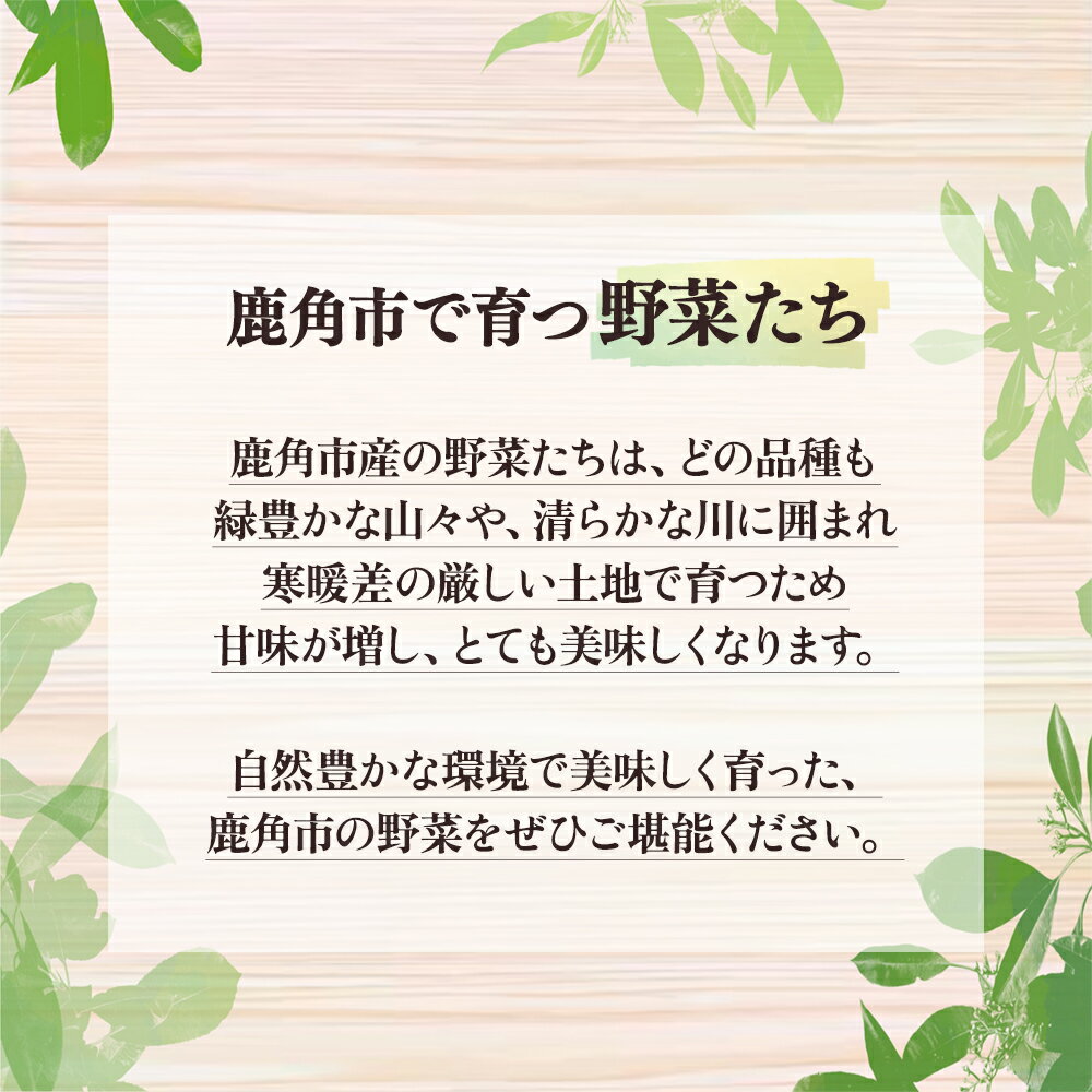 【ふるさと納税】 ほうれん草 約 1.6kg 新鮮 旬 緑黄色野菜 ホウレンソウ 炒め物 おひたし 安全 甘い 採れたて 国産野菜 お取り寄せ グルメ ギフト お中元 お歳暮 秋田 あきた 鹿角市 鹿角 秋田県 鹿角産 送料無料 【恋する鹿角カンパニー】 - 画像2