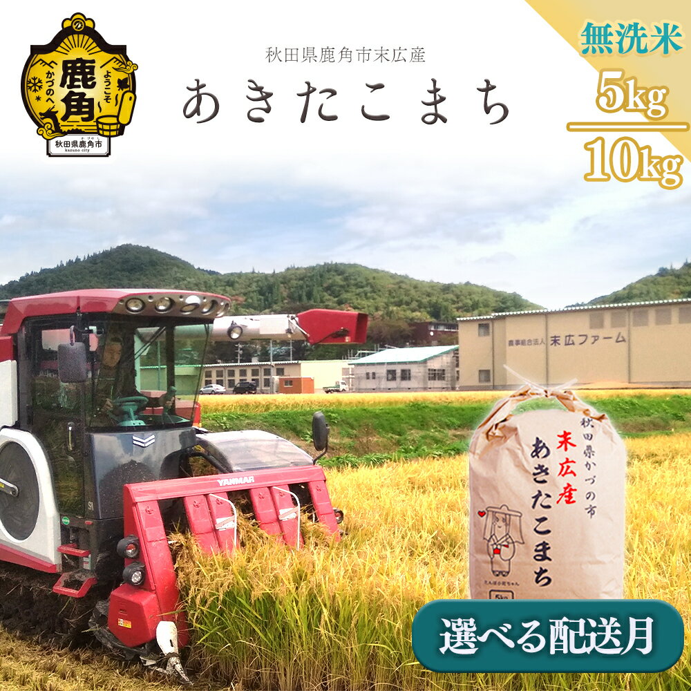 令和7年産 米 あきたこまち 無洗米 単品 5kg 10kg 選べる 内容量 発送時期 選択 末広産 白米 米 無洗 お米 こめ コメ 秋田県産あきたこまち 国産米 秋田県 あきた 鹿角市 鹿角 送料無料 【末広ファーム】