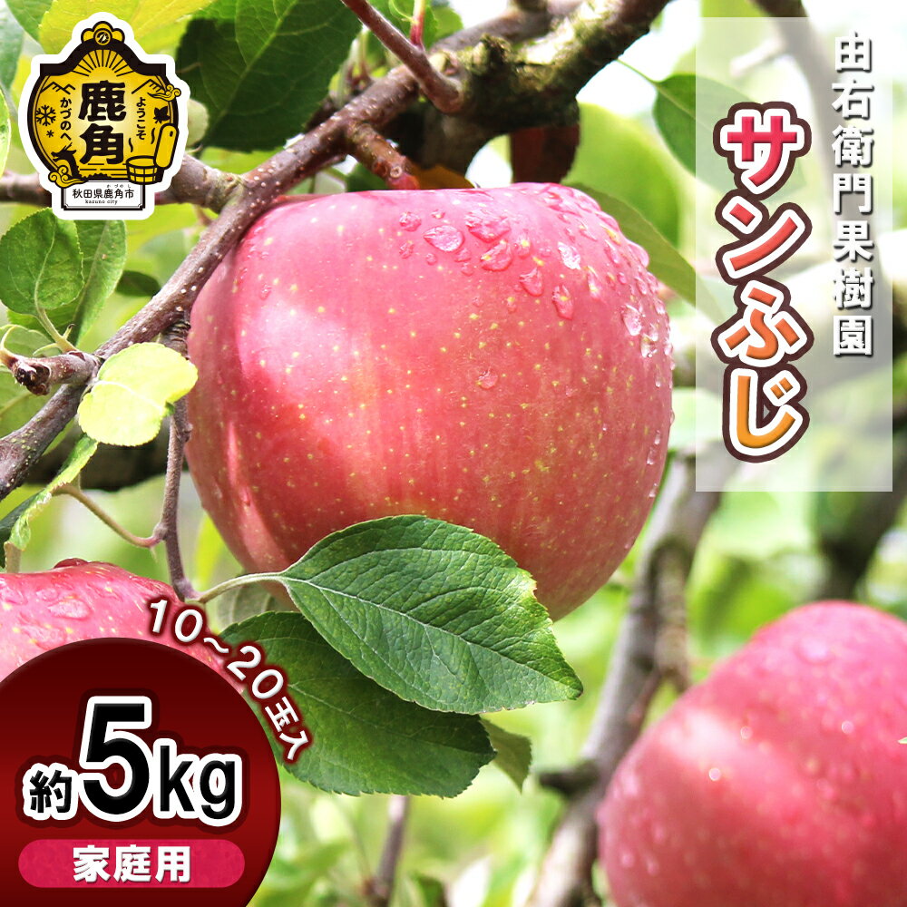 《 発送時期選択 》 由右衛門果樹園 りんご 家庭用 「 サンふじ 」 約5kg （ 10〜20玉 ）リンゴ 完熟 旬 ふじ フジ 県産りんご お歳暮 グルメ ギフト 故郷 秋田 あきた 鹿角市 鹿角 送料無料 【由右衛門果樹園】