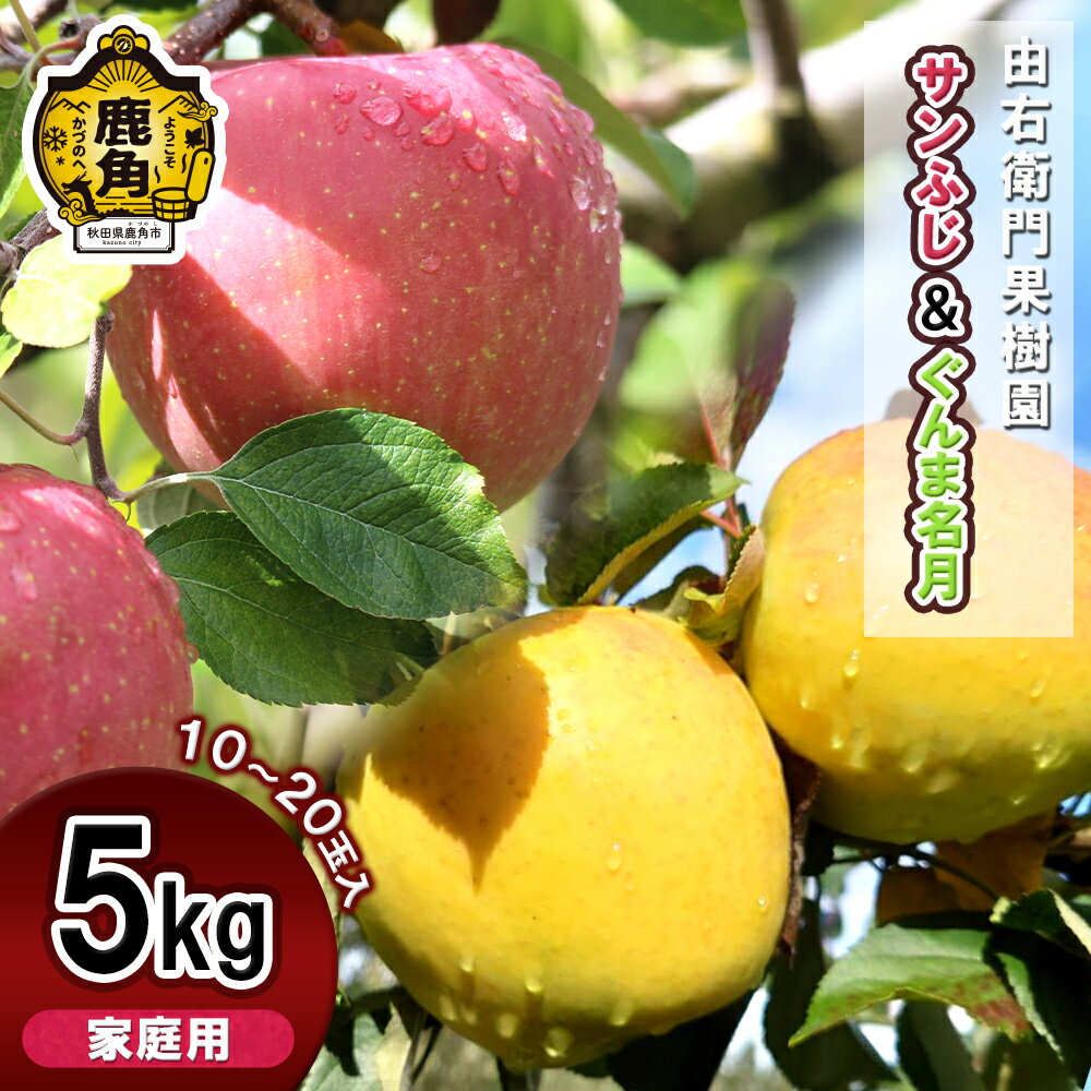 《 先行予約 》 由右衛門果樹園 りんご 家庭用「サンふじ＆ぐんま名月」約 5kg（10〜20玉）詰め合わせ 食べ比べ 人気品種 セット お歳暮 贈り物 お見舞い グルメ ギフト 故郷 秋田 あきた 鹿角市 鹿角 送料無料 【由右衛門果樹園】●2025年11月下旬発送開始
