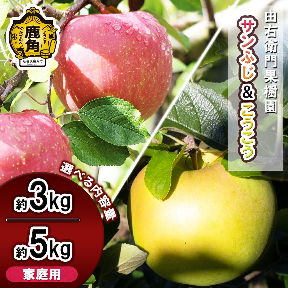 《 先行予約 》 由右衛門果樹園 りんご 家庭用 「 サンふじ ＆ こうこう 」 約 3kg / 約 5kg 詰め合わせ セット 果汁 リンゴ 完熟 お中元 お歳暮 贈り物 グルメ 秋田 あきた 鹿角市 鹿角 送料無料 【由右衛門果樹園】●2025年11月下旬発送開始