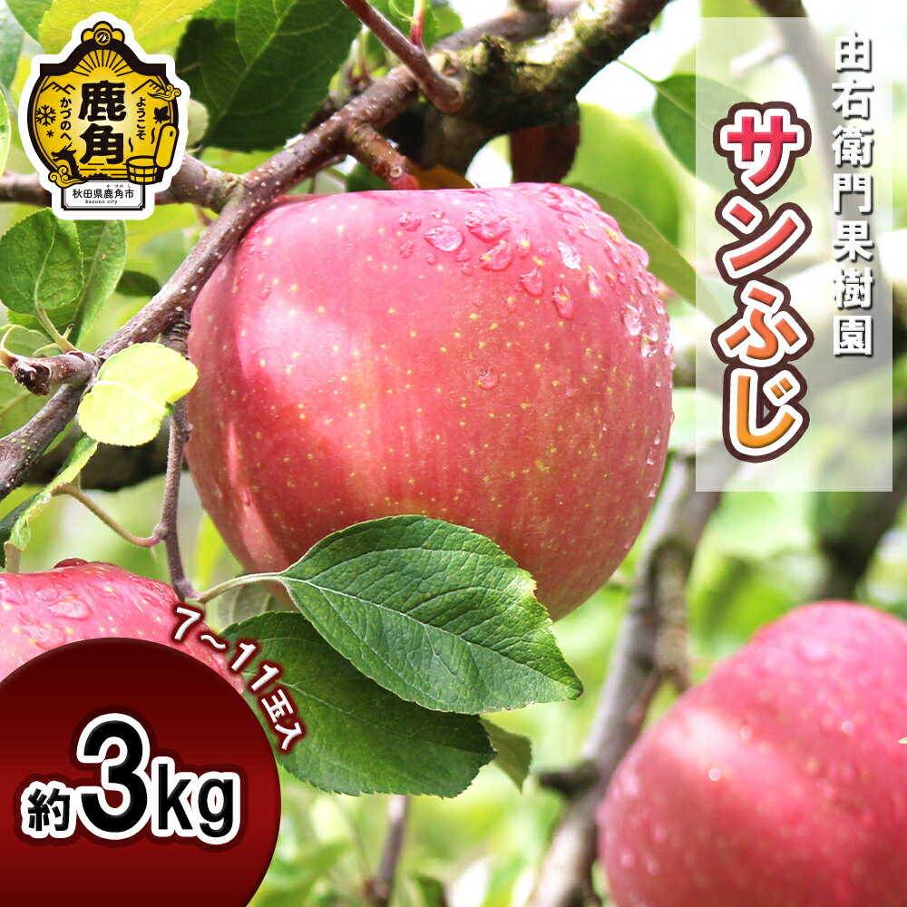 《 先行予約 》由右衛門果樹園 りんご 「 サンふじ 」 約3kg ( 7～11玉 ) 食感 果汁 リンゴ 完熟 お中元 お歳暮 贈り物 お見舞い グルメ ギフト 故郷 秋田 あきた 鹿角市 鹿角 りんご 送料無料 【由右衛門果樹園】●2025年11月下旬発送開始