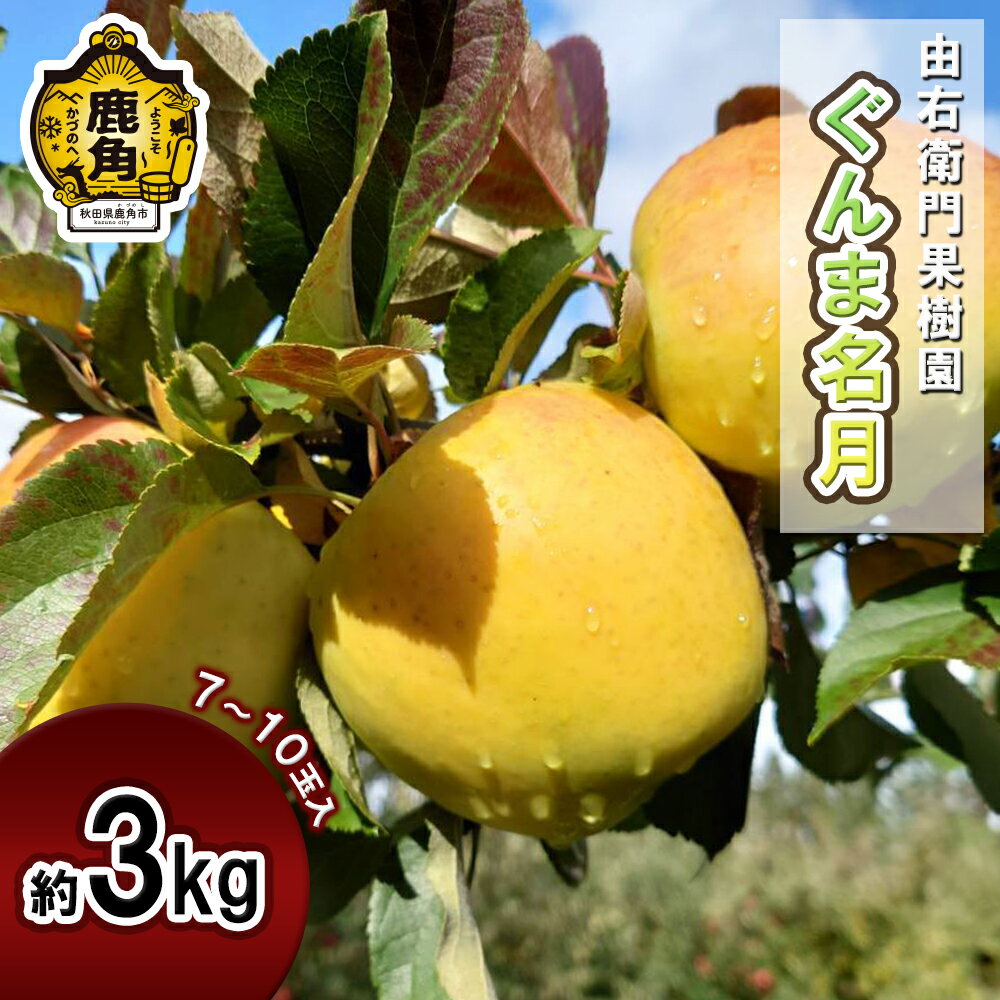 《 先行予約 》由右衛門果樹園 りんご 「 ぐんま名月 」 約3kg （7〜10玉）旬 食感 果汁 ぐんま 名月 完熟 旬 県産りんご お歳暮 贈り物 お見舞い グルメ ギフト 故郷 秋田 あきた 鹿角市 鹿角 りんご 送料無料 【由右衛門果樹園】●2025年11月中旬発送開始