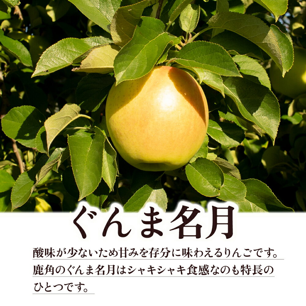 【ふるさと納税】《 先行予約 》 由右衛門果樹園 りんご 家庭用 「 ぐんま名月 」 約3kg / 約5kg りんご 林檎 リンゴ ぐんま名月 ぐんま 名月 産地直送 農家直送 故郷 秋田 あきた 鹿角市 鹿角 かづの 送料無料【由右衛門果樹園】●2025年11月中旬発送開始 サムネイル2