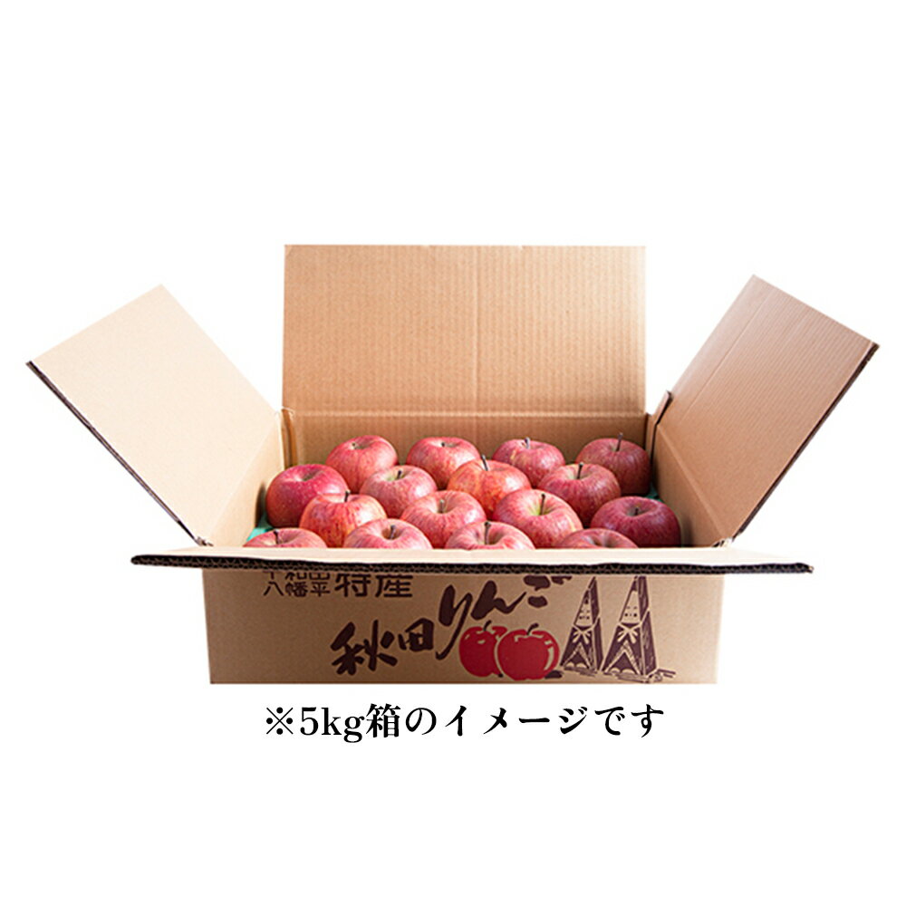 【ふるさと納税】《 発送時期選択 》 由右衛門果樹園 りんご 家庭用 「 サンふじ 」 約5kg （ 10〜20玉 ）リンゴ 完熟 旬 ふじ フジ 県産りんご お歳暮 グルメ ギフト 故郷 秋田 あきた 鹿角市 鹿角 送料無料 【由右衛門果樹園】 サムネイル2