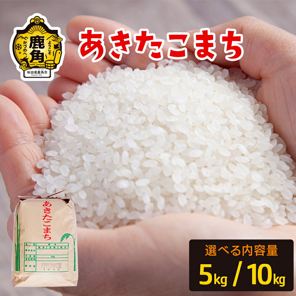 令和7年産 あきたこまち 5kg / 10kg 選べる 内容量 単品 白米 精米 米 お米 こめ コメ 県産米 国産米 ギフト お中元 お歳暮 ふるさと 返礼品 秋田 あきた 鹿角市 鹿角 送料無料 【豊田農園】